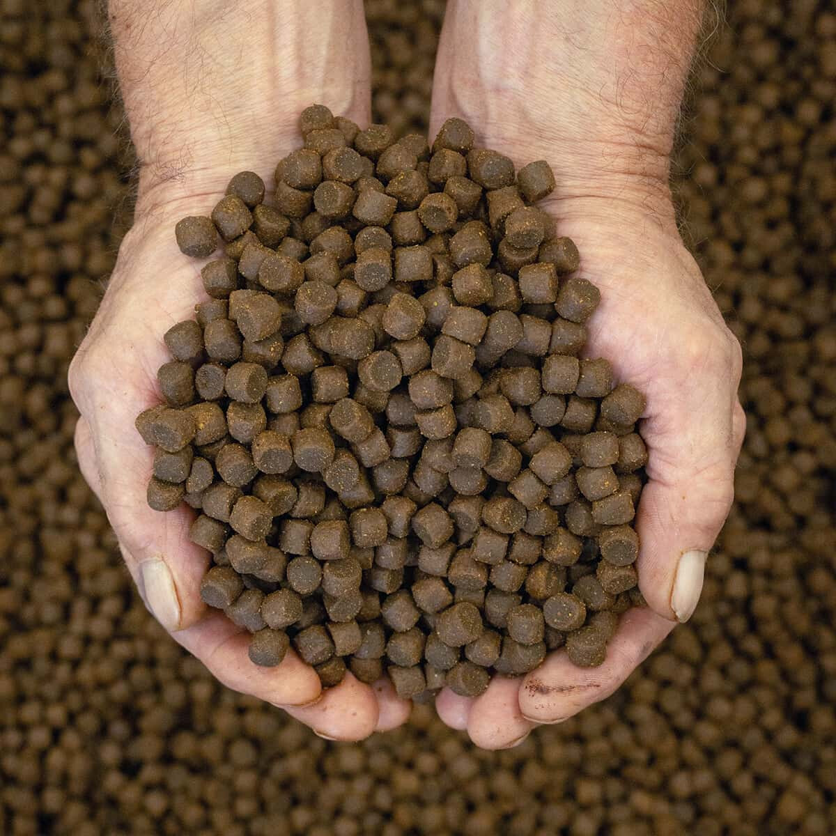 Nautika Base Feed Concept Pellets - Red  box