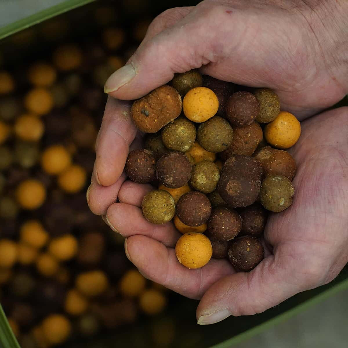 Nautika 25kg FEED MIX Boilies SPECIAL DE box